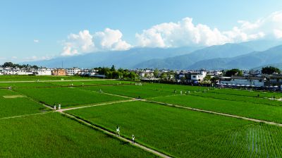 《乡村热度》