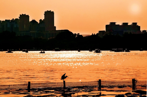 《夕阳璀璨大明湖》