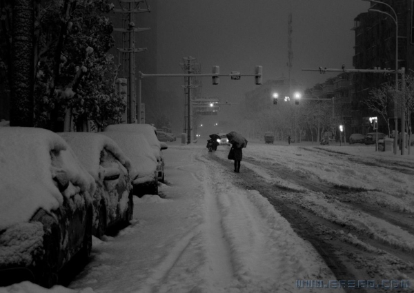 昨夜下了雪