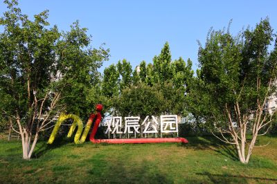 傍晚时分公园里的葵花（1）