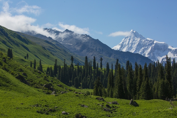 新疆伊犁天山腹地行摄之旅 ———— 夏塔古道景色