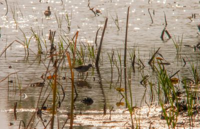 《记忆原生态》