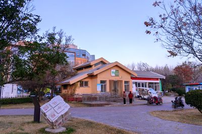 市民公园的早晨9