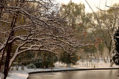 白雪降临，冬韵悠长（3）