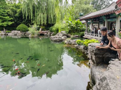 泉畔观鱼