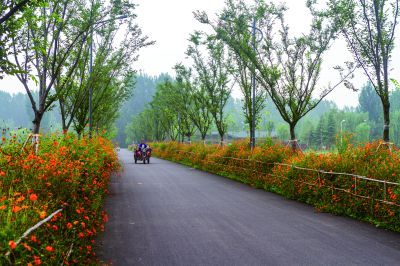 《乡村路》