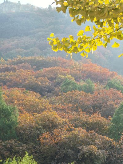 石门坊风景区红叶