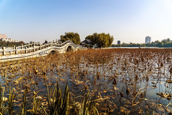 《大明湖》