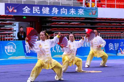 山东省太极拳比赛——14
