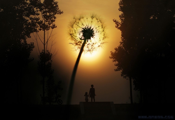 朝花夕拾