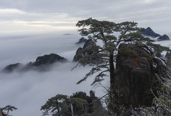 人间仙境黄山