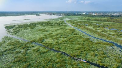 《湿地生万象，碧水润湖乡》