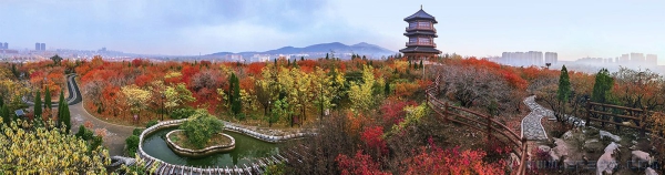 秋染小东山