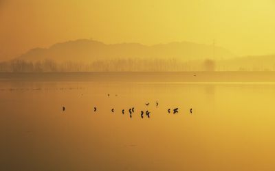 济南天桥沉砂池之晨1