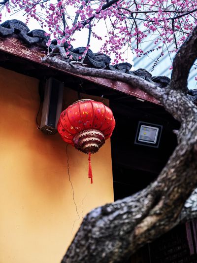 惊艳江南春