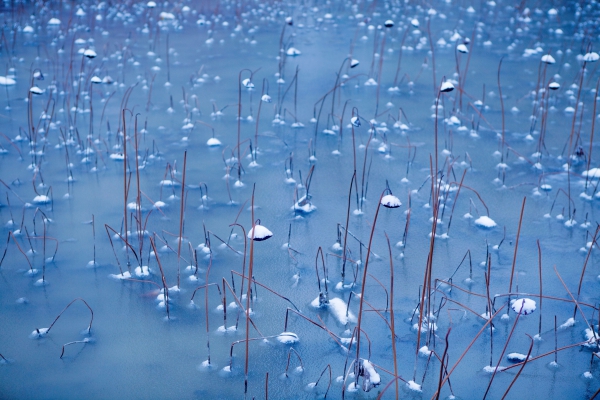 《雪韵》