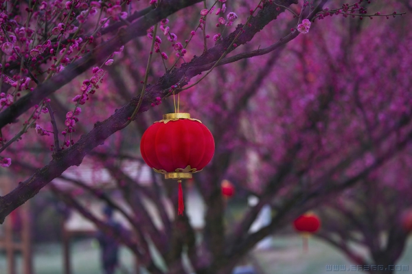 [原创]  节日喜气