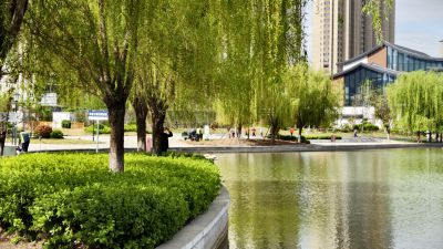 云锦湖公园3