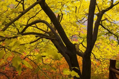石门坊山顶东侧秋景