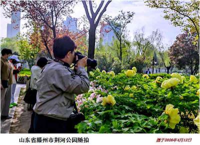 逛公园——40