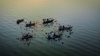 《舟影漾金波》