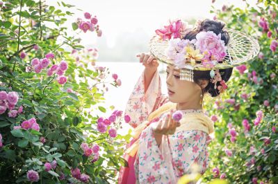 美女如花
