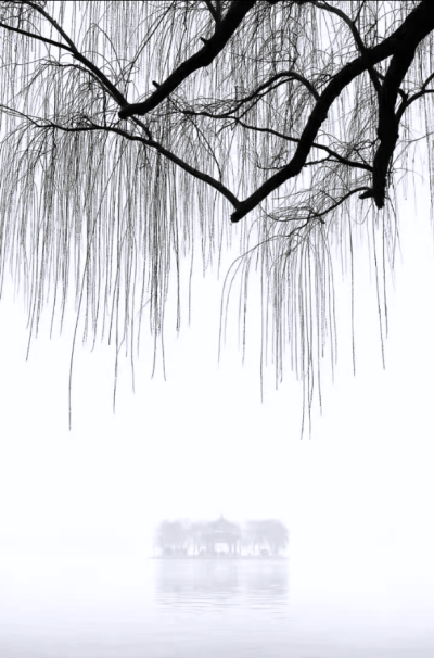 济南大明湖日志（四）