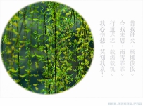 [原创]【诗经之美】