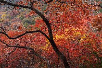 石门坊中路上山路径风景