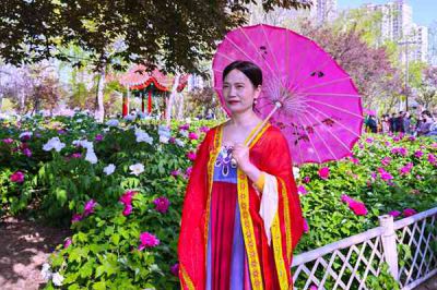 看花人3