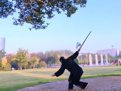 晨练太极功夫5