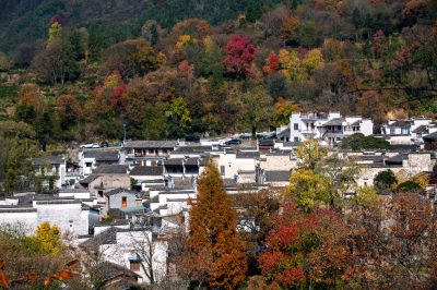 塔川秋色“2”