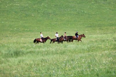 策马草原
