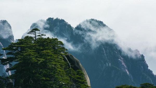 [原创]天下奇山 黄山（二十四）