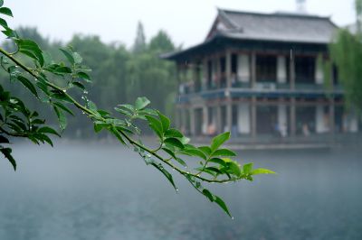 济南新八景作品投稿：龙潭雨润