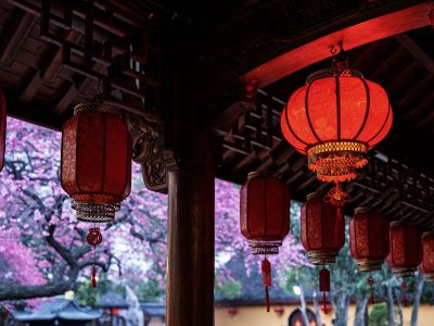 新春梅花开