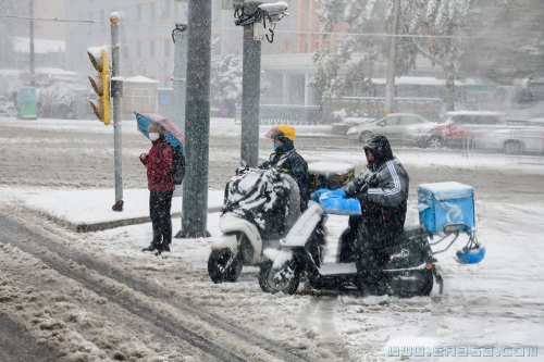 雪中等待