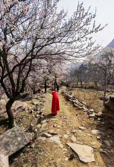 山间小径，衣袂飘逸