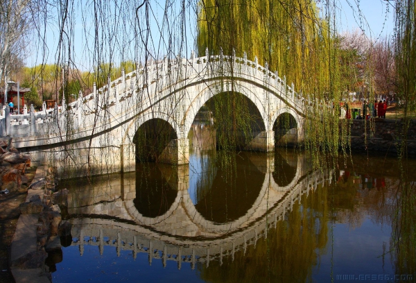 春回故乡
