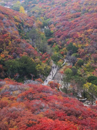 石门坊东路上山路径