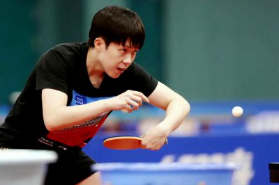 中国乒团精英之二