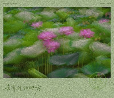 有风的地方
