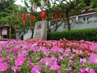 花花世界——红叶谷