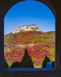 满山红叶