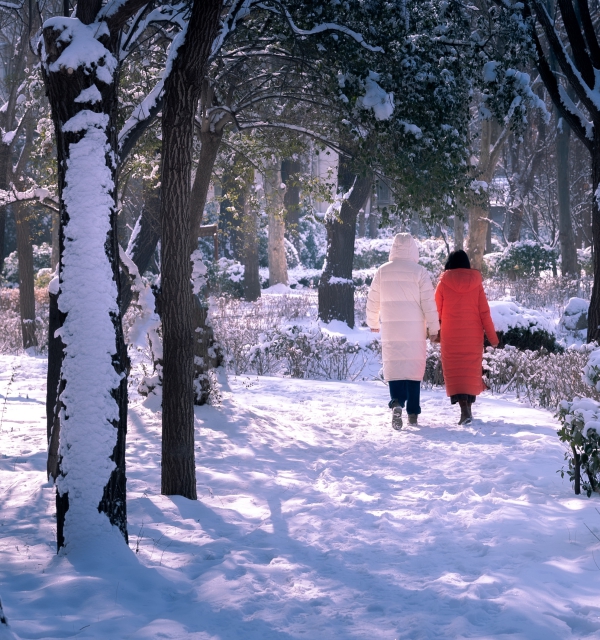 雪后漫步