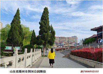 逛公园——1