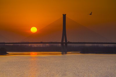 济南建邦黄河大桥 10
