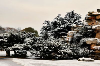 白雪降临，冬韵悠长（1）