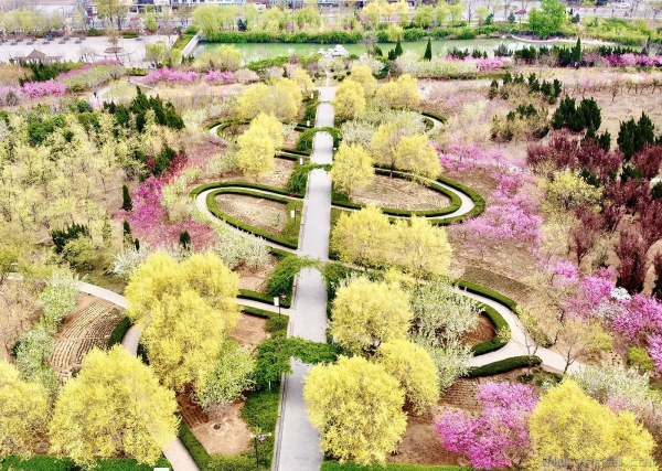 章丘桃花山公园