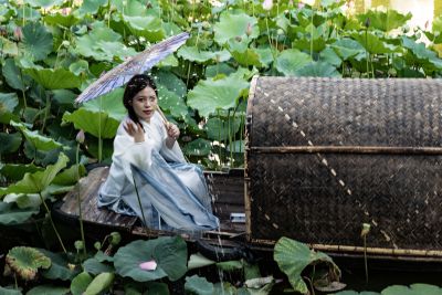 舜庐风光